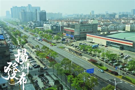 扬州邗江：构筑“1+1+N”体系 打造人才创新高地