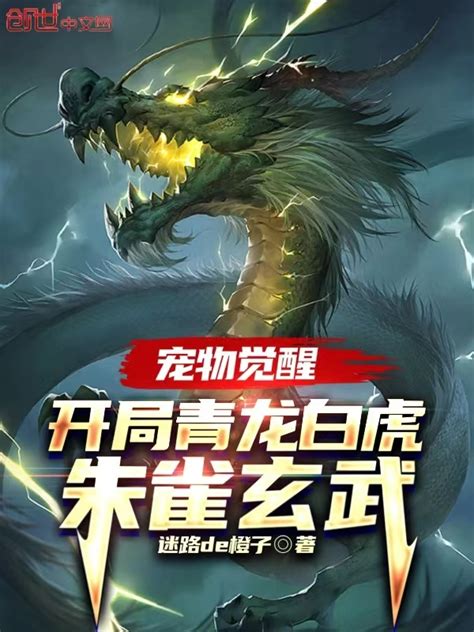 《宠物觉醒：开局青龙白虎朱雀玄武》小说在线阅读-起点中文网