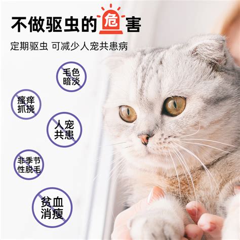 猫猫法国药妆Ave图片 猫猫法国药妆Ave图片