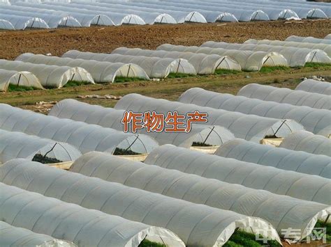 作物生产技术（专科）-云南农业大学热带作物学院