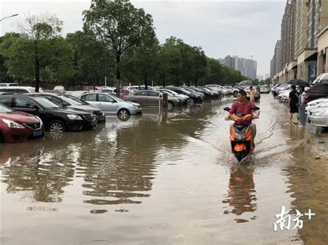 广西桂林暴雨引发洪水 多地遭浸灌 _深圳新闻网
