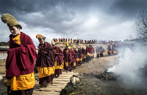 西藏情缘-东北网