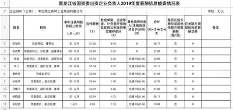 中国龙江森林工业集团有限公司_关于企业负责人2019年度薪酬信息披露的公告