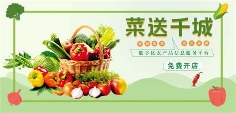 蔬菜批发市场的营销点,卖蔬菜的营销手段,蔬菜深加工的销路(第3页)_大山谷图库