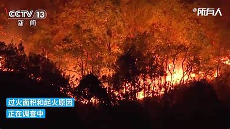 重庆长寿区一处发生山火，当地第一时间启动应急预案_凤凰网视频_凤凰网