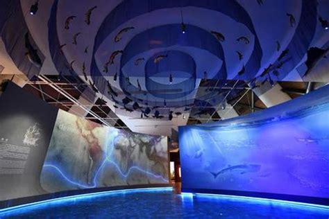 天津国家海洋博物馆开放时间-预约方式_旅泊网