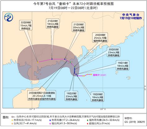 海南：台风“百合”掠过 琼海风雨成灾[组图]_图片中国_中国网