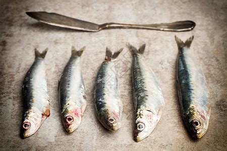沙尖鱼和沙丁鱼的区别 - 七彩三农