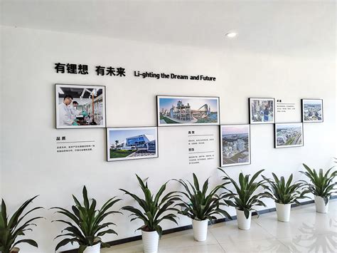 办公室墙面文化建设_上海 - 500强公司案例