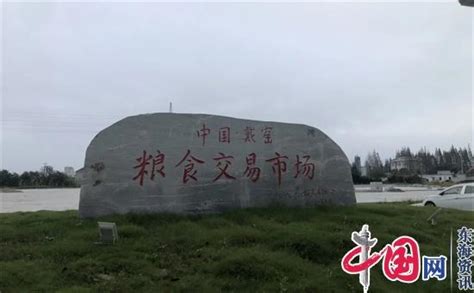 “望闻问切” 带您领略戴窑东三味“稻” - 社会民生 - 中国网•东海资讯