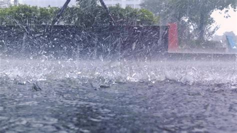 狂风暴雨图片