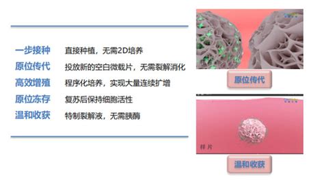3D细胞培养技术_上海曼博生物医药科技有限公司