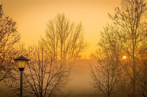 从三月的薄雾看德累斯顿的前景 - 约翰·克里斯蒂安·达尔 - 画园网