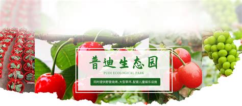 重庆主城重庆草莓采摘基地_重庆主城葡萄-重庆普迪农业发展有限公司