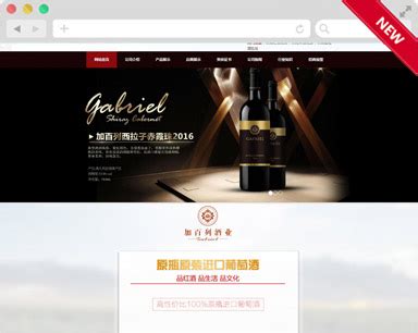 东莞加百列酒业网站建设案例_案例展示-向扬网络公司