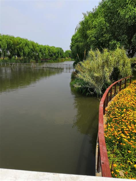 上海青浦·淀山湖大道南侧Ι号29-30地块景观设计_项目案例_HWA安琦道尔