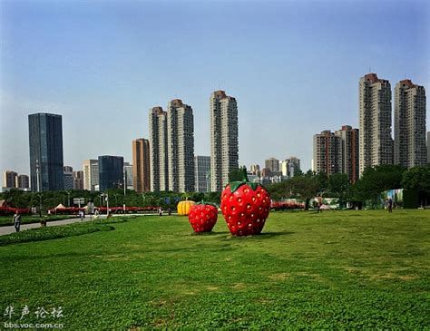 广场图片
