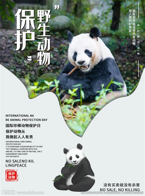 保护环境，爱护野生动物海报|平面|海报|一线余 - 原创作品 - 站酷 (ZCOOL)