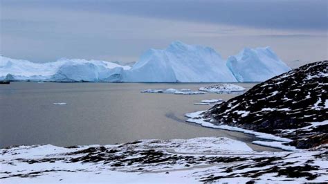 格林兰岛一日冰雪融化20亿吨的背后，是无数生命的逝去__凤凰网