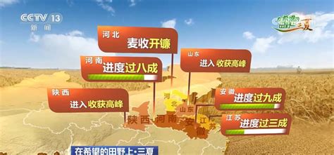 全国“三夏”麦收进度过半 安徽进度过九成，河南过八成_城市_中国小康网