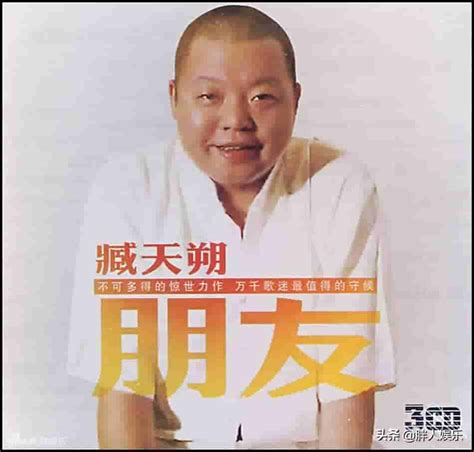 臧天朔简历(2005年周公子为梅婷战臧天朔)-易宿百科