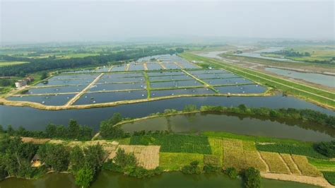 灞桥区水族批发市场都在哪里？（西安水族批发） - 黑桃A鱼 - 广州观赏鱼批发市场