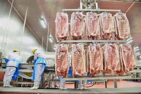 国内猪肉供应紧为啥现在不大量进口？原因很简单_手机新浪网