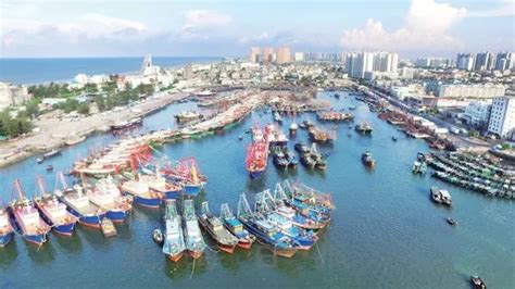 广西北海：进行陆海统筹生态修复 增强城市防灾减灾能力-人民图片网