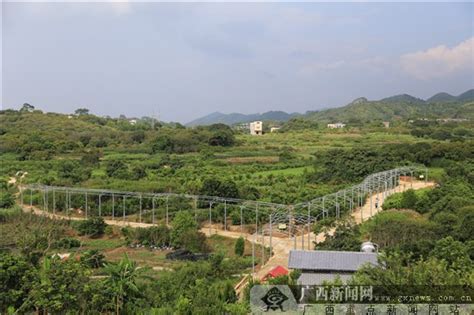 钦北区：打造现代农业生态旅游新“丝路” - 广西县域经济网