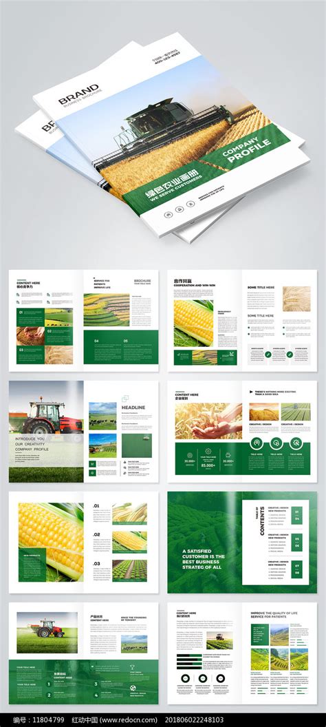 农业合作社宣传册图片_画册_编号12966799_红动中国