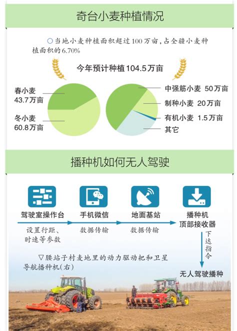 昌吉州打造线上政务服务数字化平台 县级行政许可事项承诺时限压缩85.62% -天山网 - 新疆新闻门户
