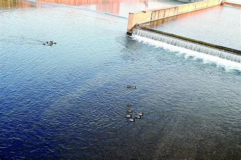 承德市生态环境局 工作动态 承德：12月份河流断面水质优良比例持续保持100%