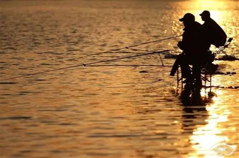 夏季夜钓鲤鱼的经验和必备技巧_钓鱼人必看