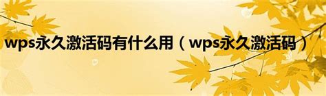 WPS破解版免费永久使用下载-WPS Office超级会员破解版v18.5.3-圣力下载网