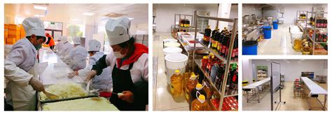 餐饮行业食品级皮带输送机|上海传进机械设备有限公司|生产加工输送机设备和输送机配件