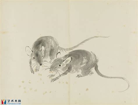 鼠年话鼠丨“实验小白鼠”百年百变史：从近亲繁殖到基因编辑|基因编辑|基因组_新浪新闻