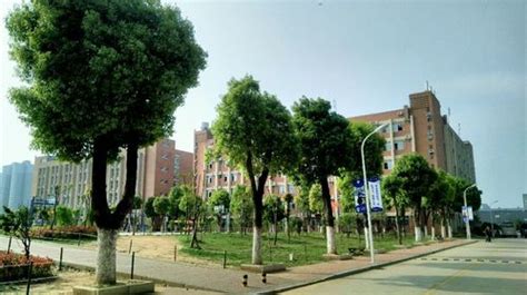 武汉东新电子职业技术学校