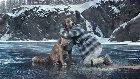 《野性的呼唤》预告：淘金者和狗狗们的感人故事，开启冰原荒野历险！-英语趣配音