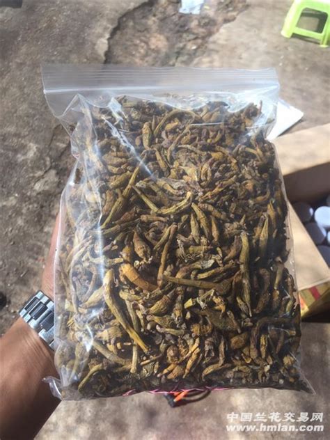 普澜景系列之——老挝野生带巢蜜-野生蜂蜜-久久农牧网-将最优质的云南特产从田间直接送到用户手中