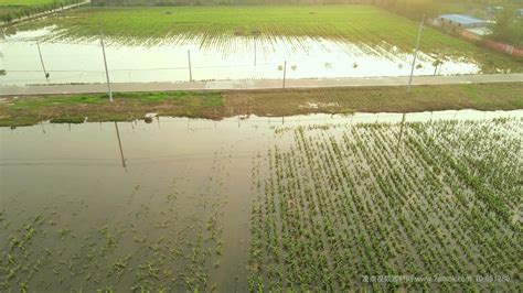 雨势凶猛！云南多地发生泥石流洪涝灾害 道路坍塌农田被淹-图片频道