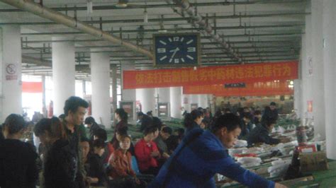 我公司营销中心人员在河北安国中药材市场进行市场调研 - 集团新闻 - 广西云天集团