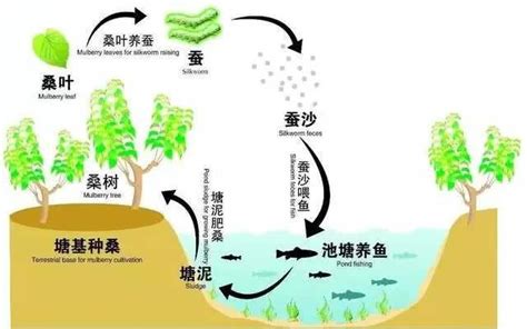 “绿水青山就是金山银山” 实践模式与典型案例（6）丨山东省蒙阴县打造生态循环立体农业 - 知乎