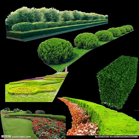 图文解析 | 园林景观植物绿化配置方法-景观植物-筑龙园林景观论坛