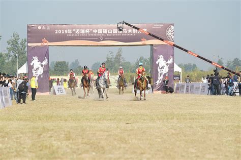 世界10大名马，纯血马和阿拉伯马领衔，夸特马和蒙古马也上榜|荷兰|赛马|名马_新浪新闻