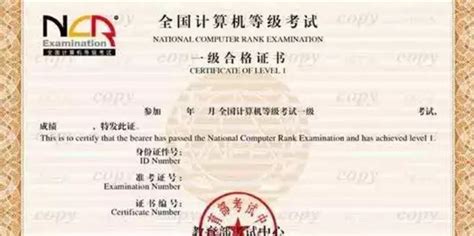 一级图片