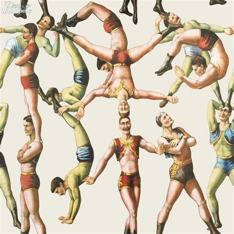 TEOC Circus: Meet Australia’s favourite female acrobats — theadelaidelife