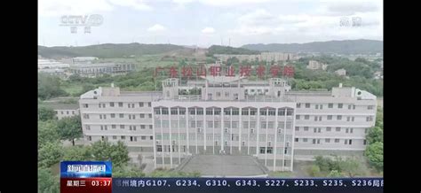 CCTV-13新闻 战役情：腾亚科技助力--武汉长江大桥“守护者”_关于我们_武汉市腾亚科技有限公司 - 腾亚，中国科技产品专家！