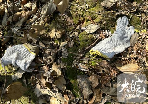 胡鑫宇遗体发现地点在其就读中学附近：树林中有一具缢吊尸体，现场发现录音笔_手机新浪网