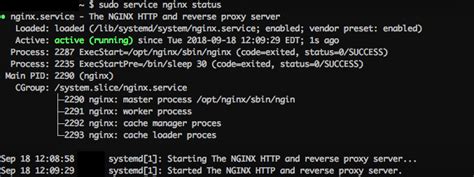 #1638 (Nginx Systemd is failing to start on reboot) – nginx