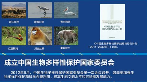 刘长兴：中国环境立法年度观察报告(2021)_法规_法律_防治法